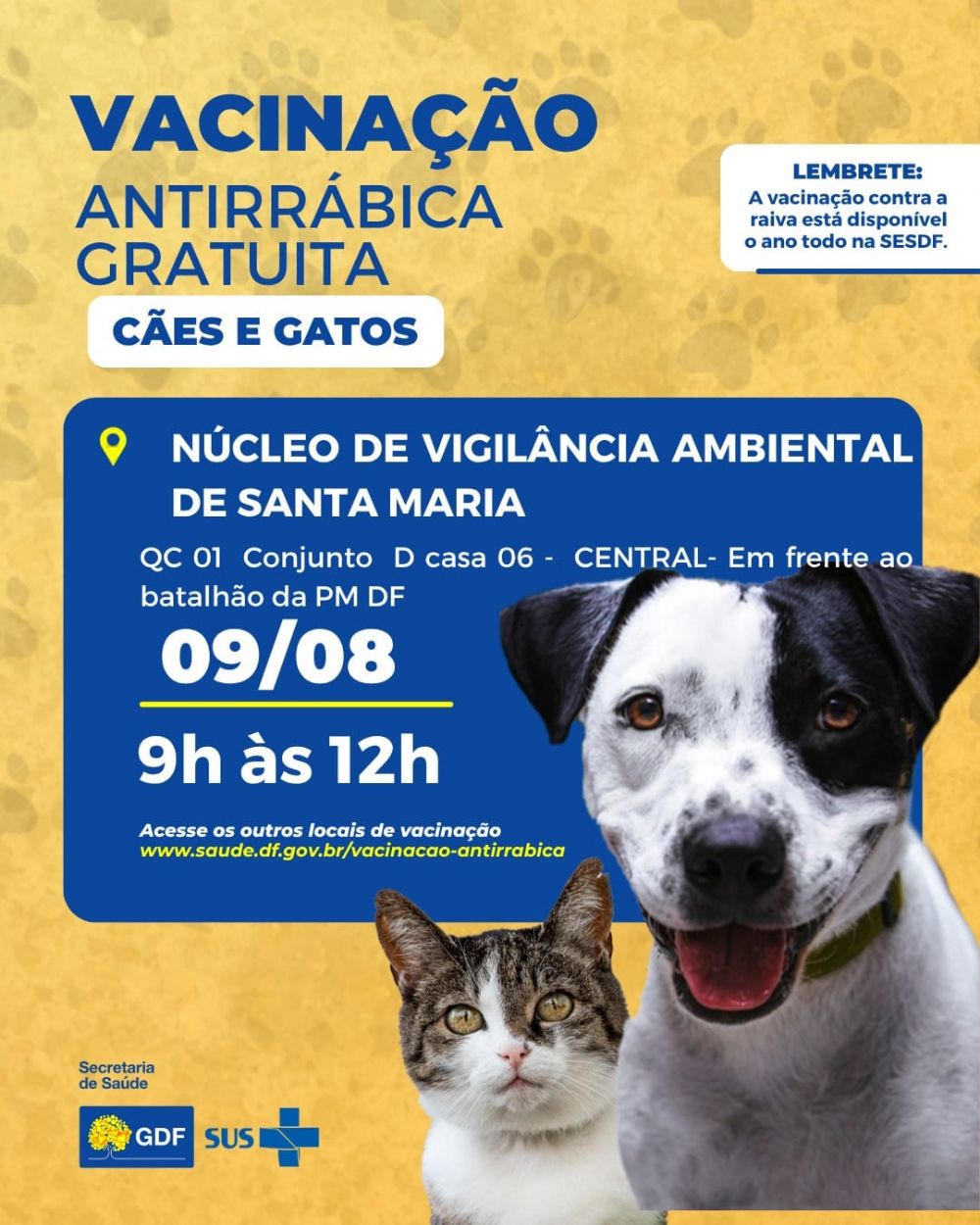 Santa Maria promove vacinação antirrábica gratuita para cães e gatos dia 9 de agosto